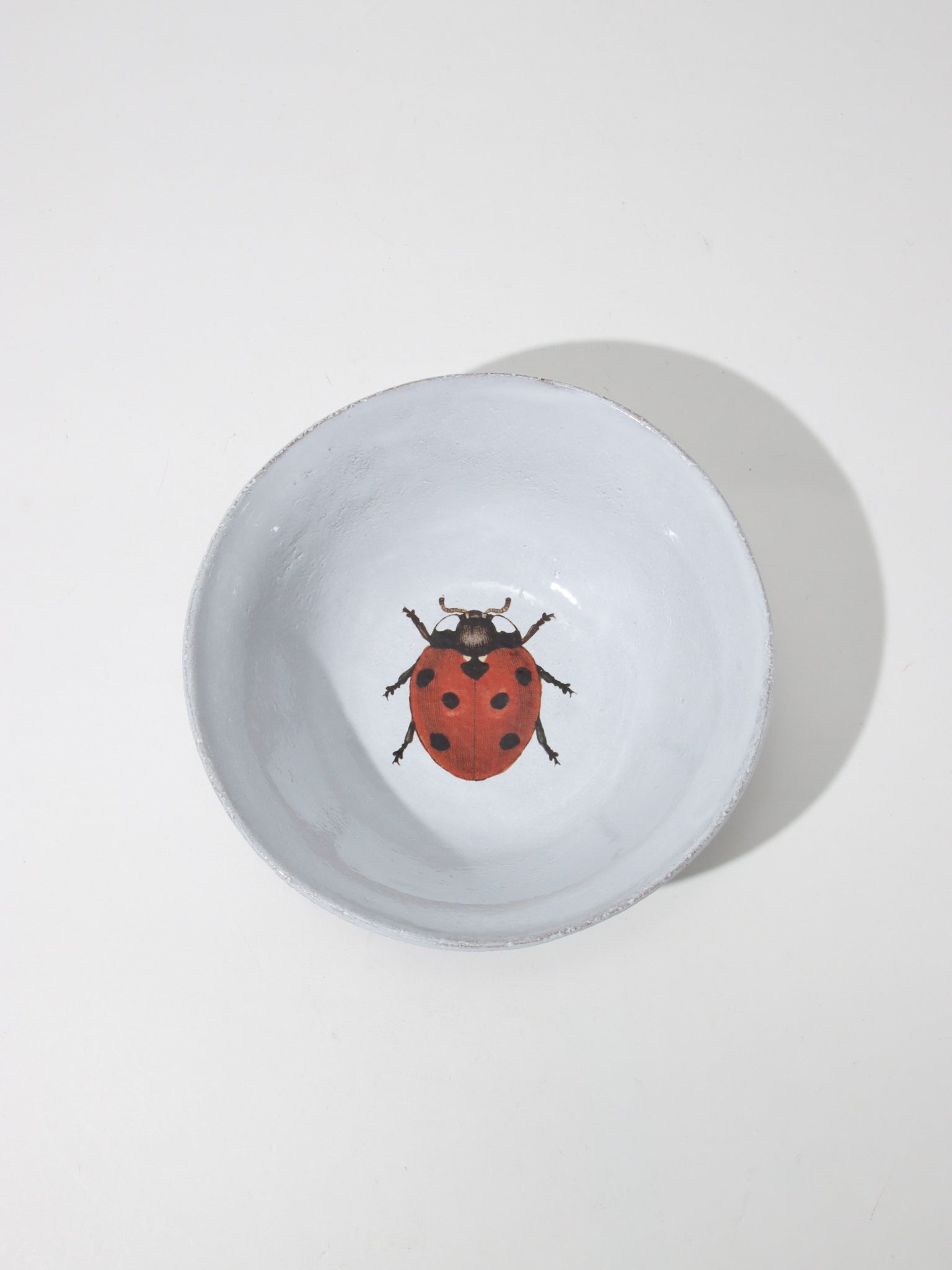 John Derian てんとう虫のプレート 14.5cm – ATELIER ONLINE