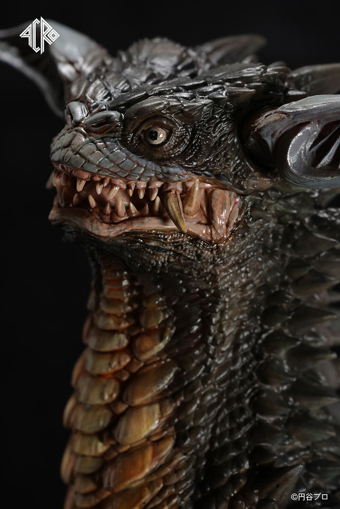 Taadayoさん専用 ギャンゴ Taadayoさん専用 ギャンゴ 楽天市場