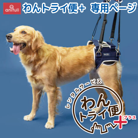 レンタルサービスわんトライ便+】BT LIFE(股関節サポーター) 犬用