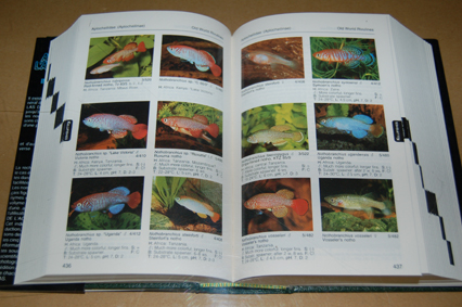 動植物関連書籍 ＞ 魚類 ＞ 熱帯魚 ＞ 熱帯魚総合図鑑 ＞ 熱帯魚大図鑑