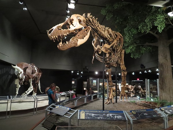 Tレックス化石発見記念銀貨