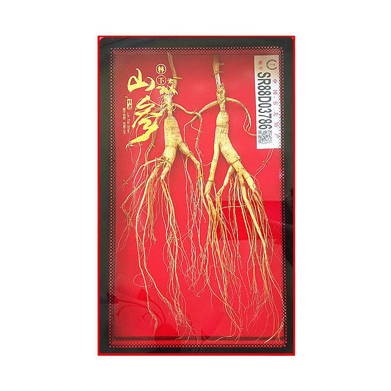 鑑定書付き 中国山参人参 置物 飾り物 高麗人参 シリアル付き 【公式通販】