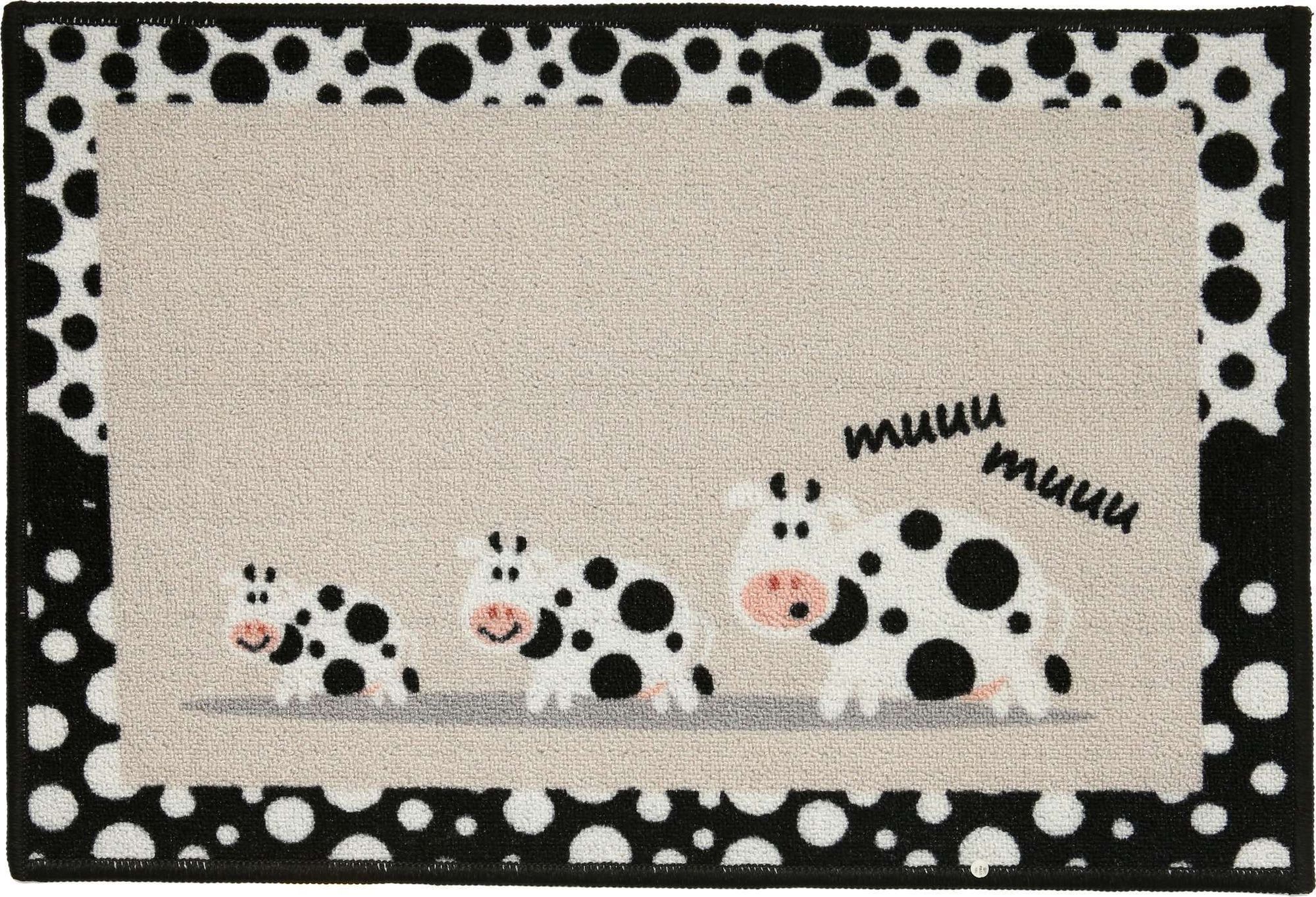 01112 カタゾウムシ 10種セットB 01112 カタゾウムシ 10種セットB