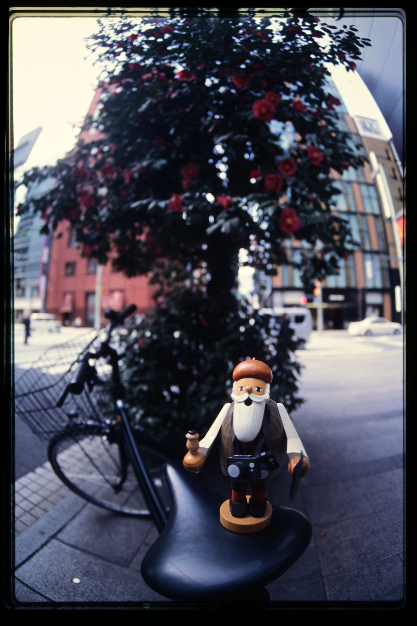 MC FISH-EYE ROKKOR-OK 16mm / f2.8 (1969年) (MINOLTA ミノルタ)