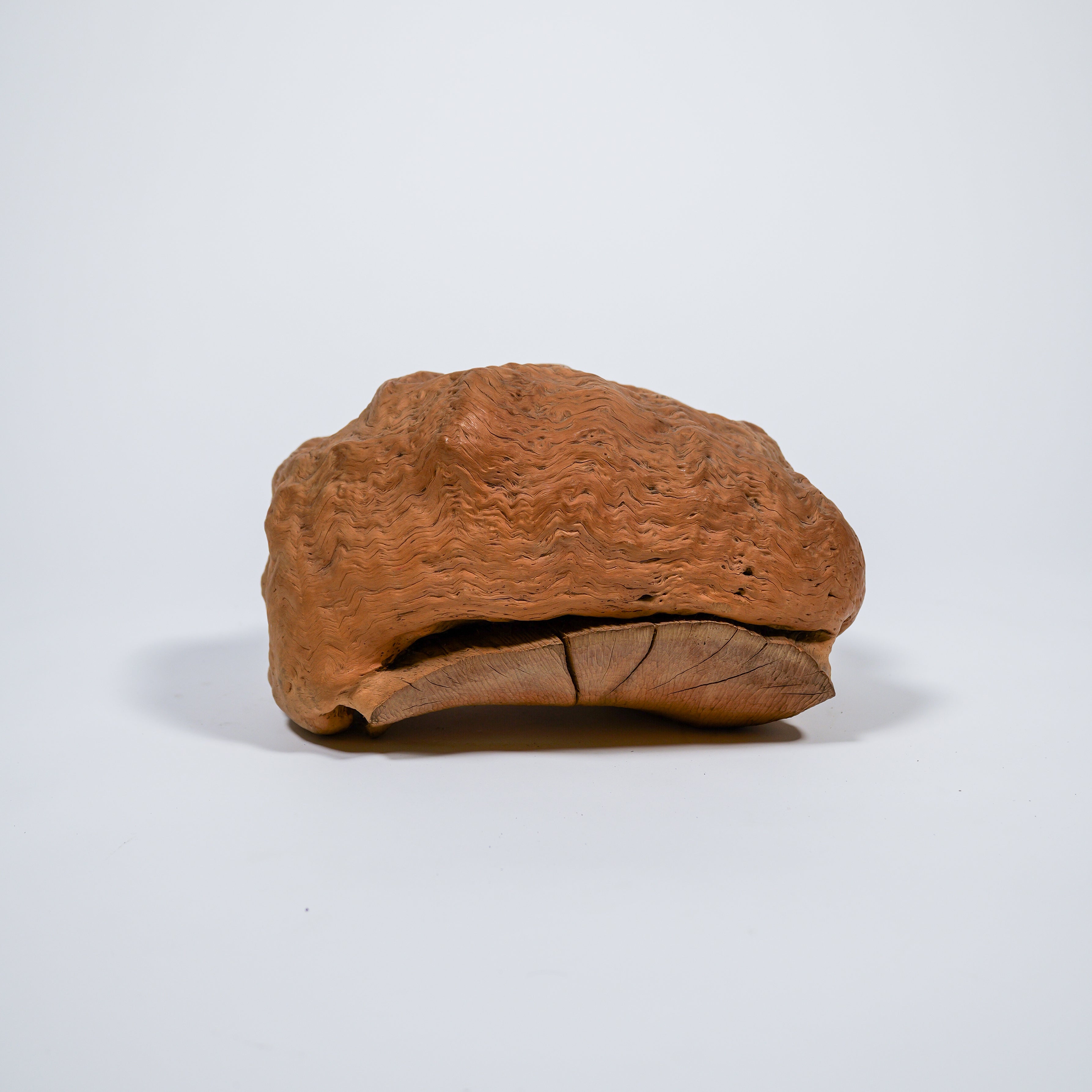 中国 玉石白玉彫刻 霊芝刻 根付 紙鎮 置物 C R7025E 中国 玉石白玉