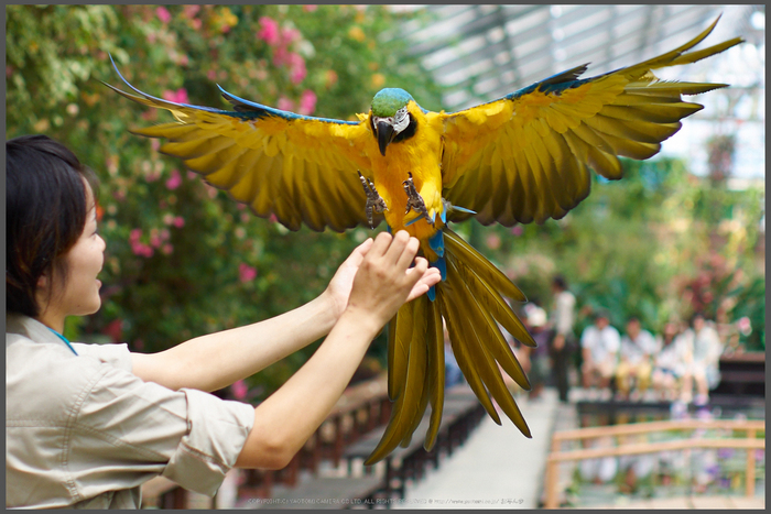 お写ん歩: SMC PENTAX M 50mm F1.4アーカイブ