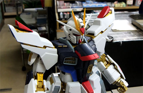 PG ストライクフリーダムガンダム ～その5～ | メリクリウスの杖