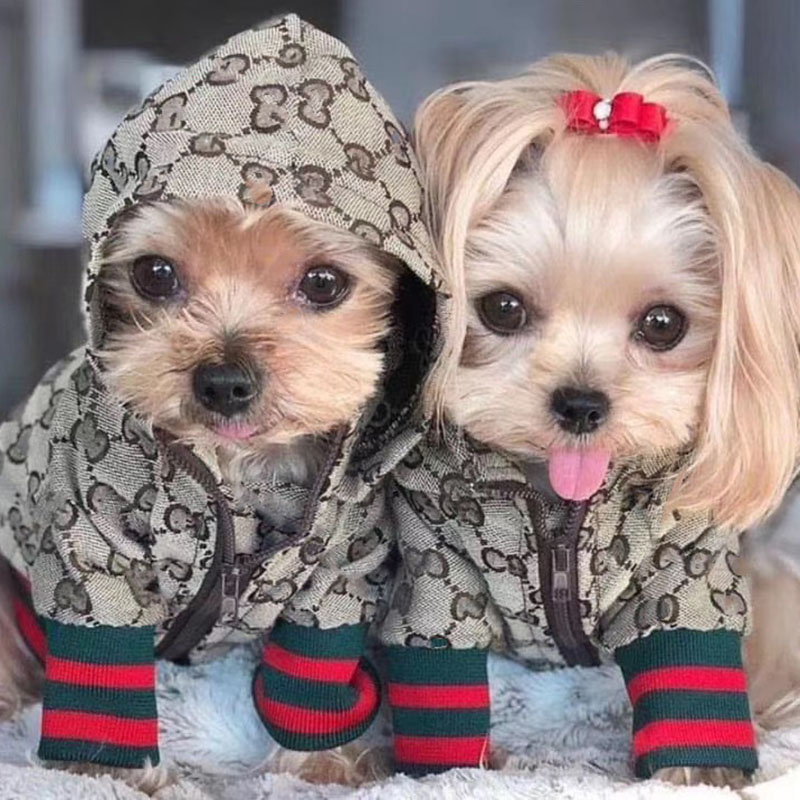 ブランド グッチ ペット犬服 リード オフホワイト ハーネス 首輪