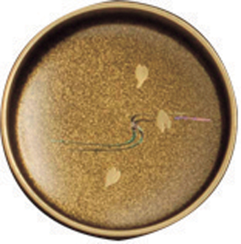 溜塗中棗 桜流水蒔絵（内梨子地）【販売】-茶道具は京都しみず孔昌堂