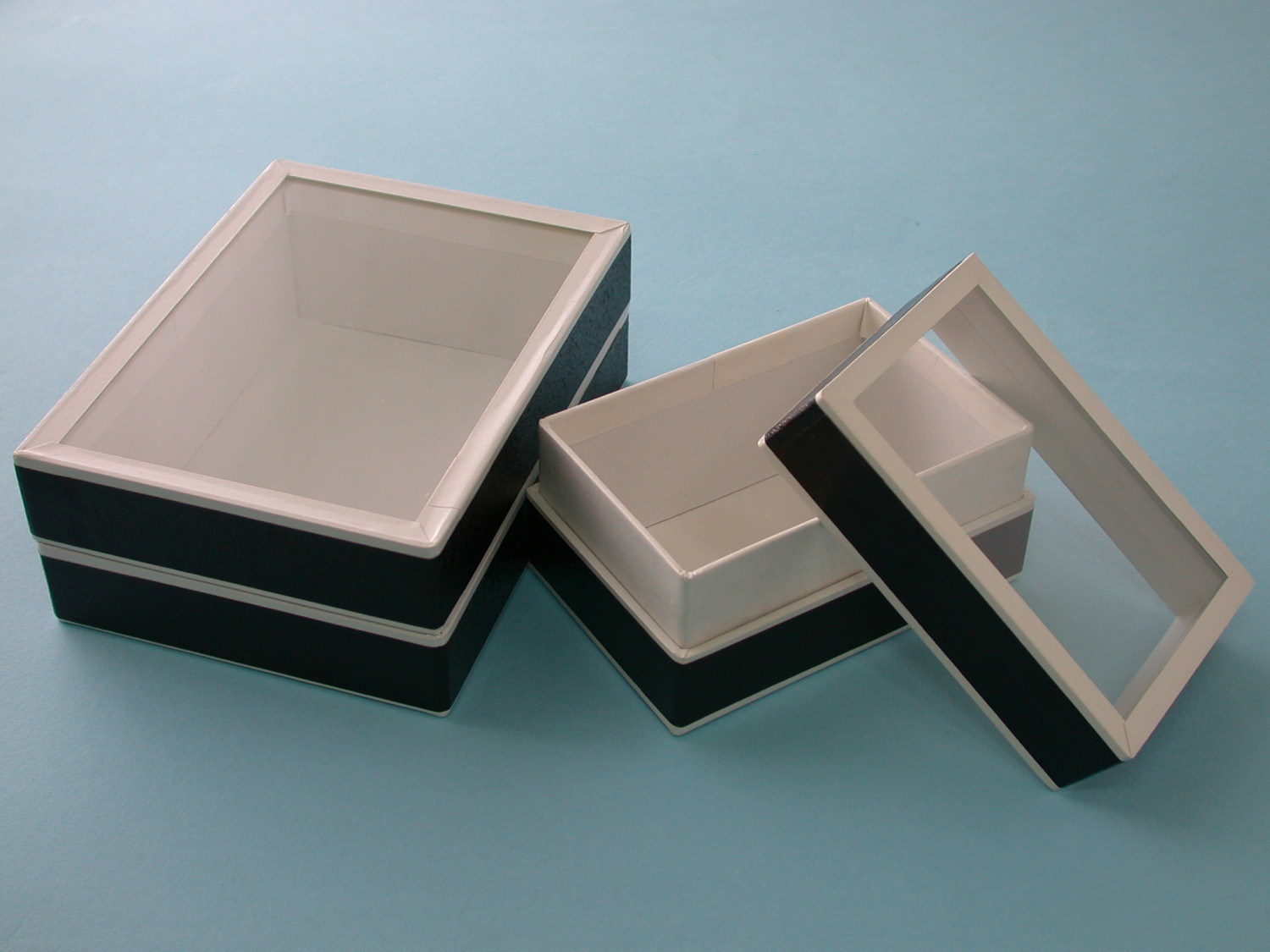 ムツゴ様専用 標本箱A2サイズ黒2セットムツゴ 標本箱A2サイズ黒2