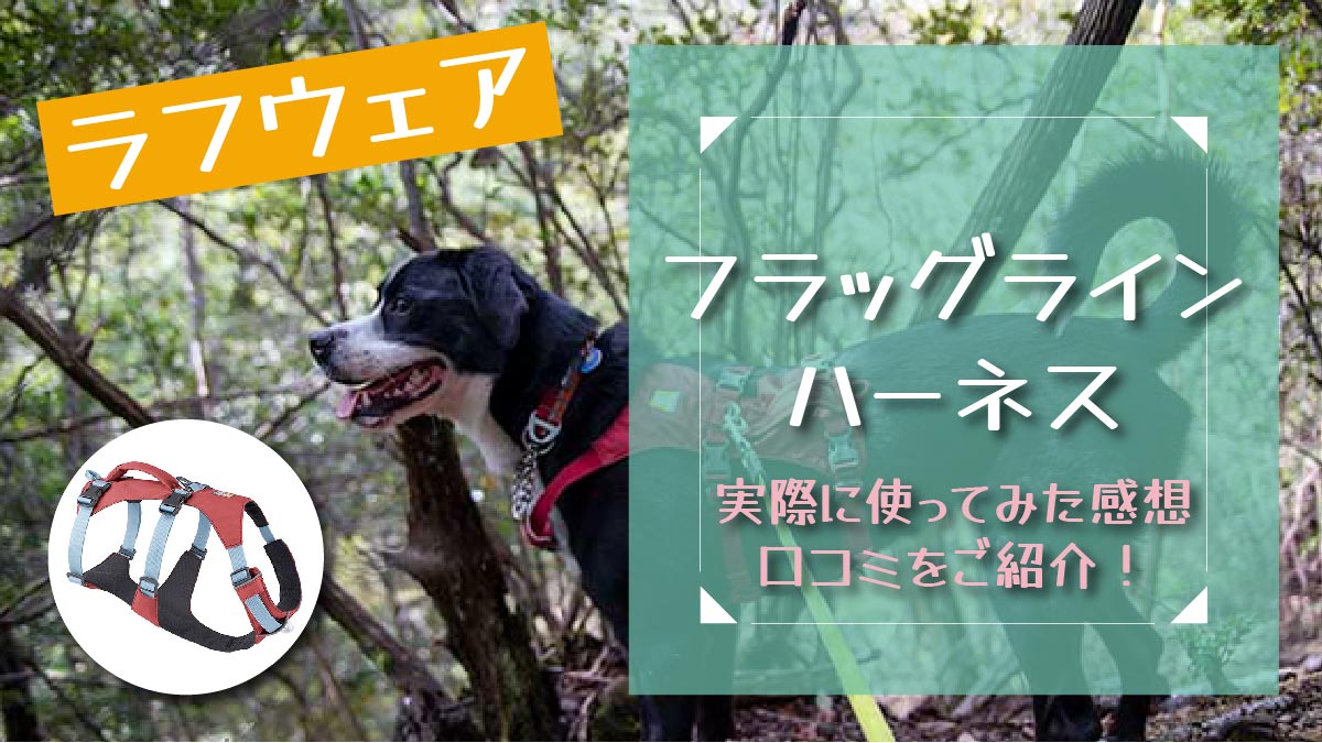 ラフウェアのフラッグラインハーネス】口コミをブログでご紹介。撥水
