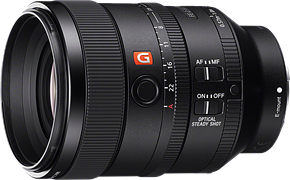 Sony FE 100mm F2.8 STF GM OSS: DPReview | Photography News, Gear