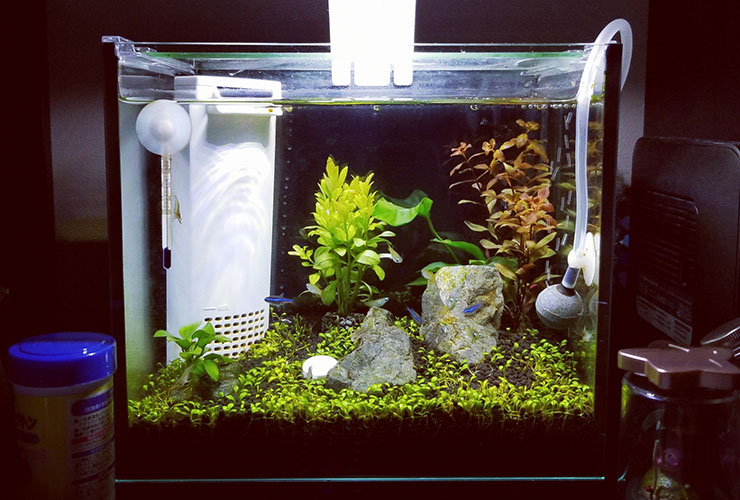 ADA60cm規格水槽 フィルター＆ライト＆co2 その他一式 2025年