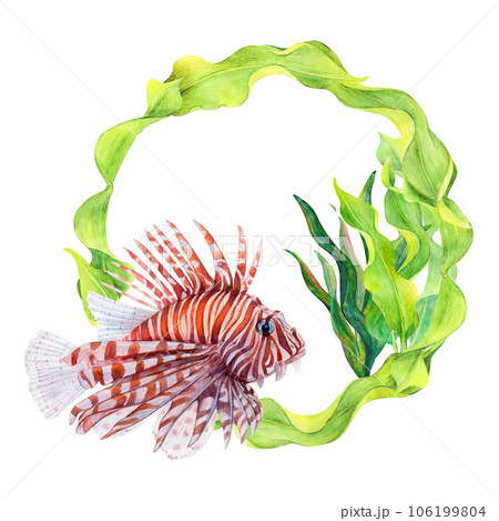 ネイチャーアート「ミノカサゴ」 水彩画 ネイチャーアート「ミノカサゴ