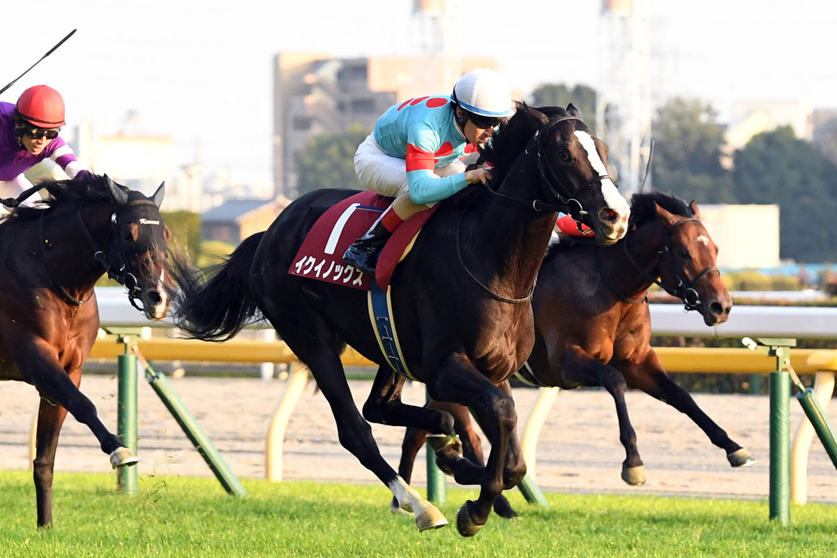 東スポ杯2歳S】1番人気イクイノックスがGⅡ昇格元年を制す
