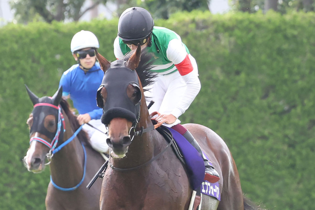 エフフォーリア 横山武 ホースレーシングカード ホログラム 世界限定