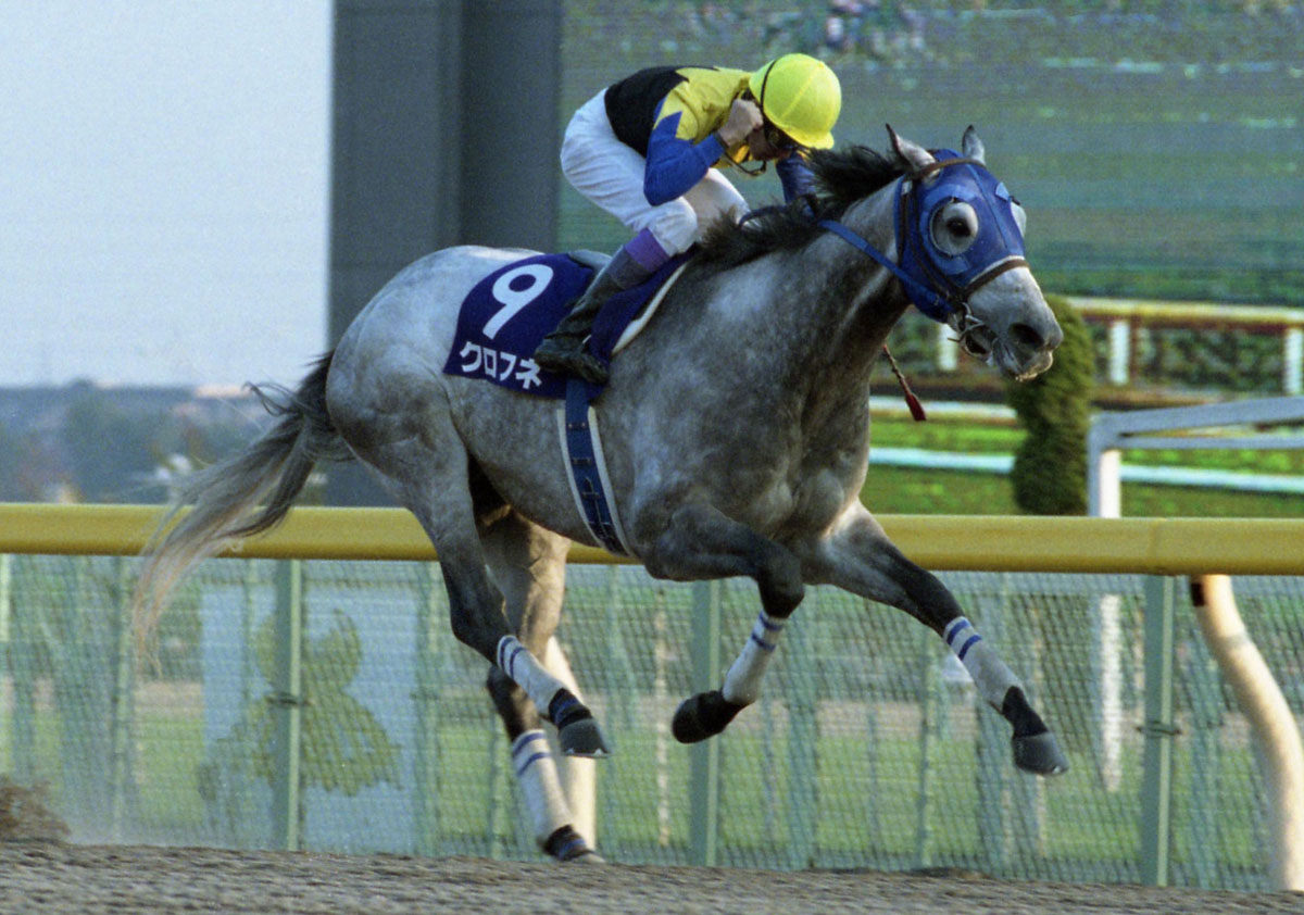 アグネスデジタル他17頭 00年 マイルCS 現地的中単勝馬券 人気薄・貴重