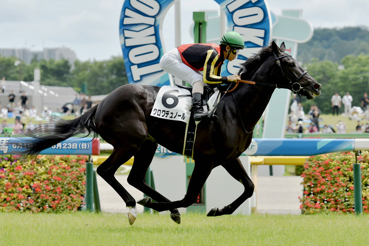 2歳新馬／東京5R】クロワデュノールがオークス馬の弟との一騎打ちを