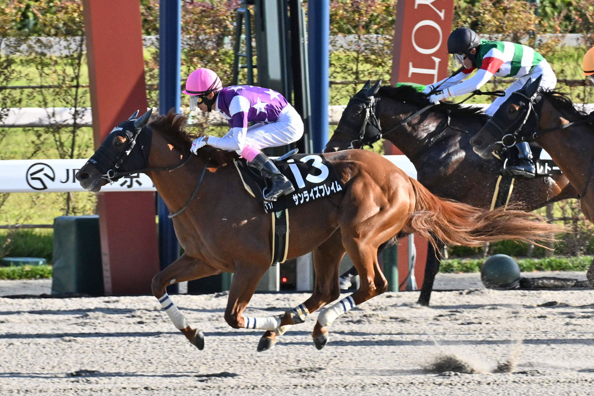 きさらぎ賞・血統値】3歳世代好調のエピファネイア産駒からまたまた