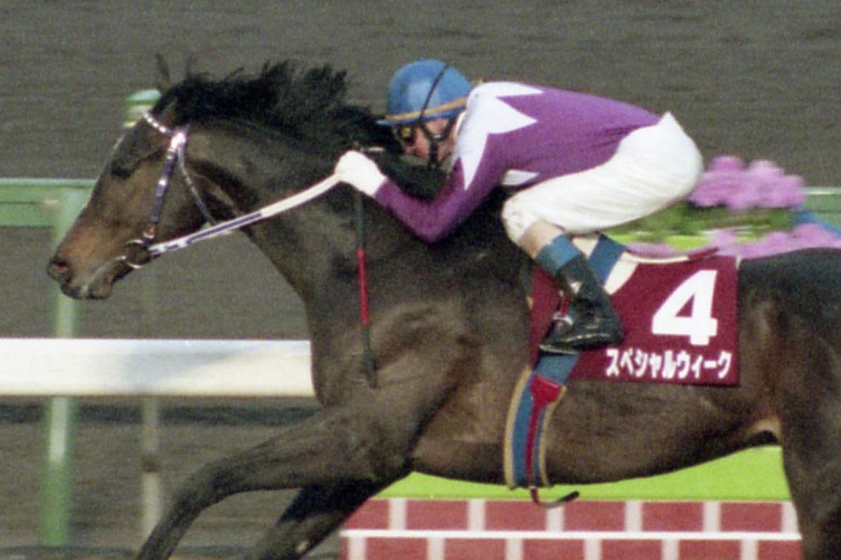 スペシャルウィーク連載【17】絶好枠のセイウンスカイに対して