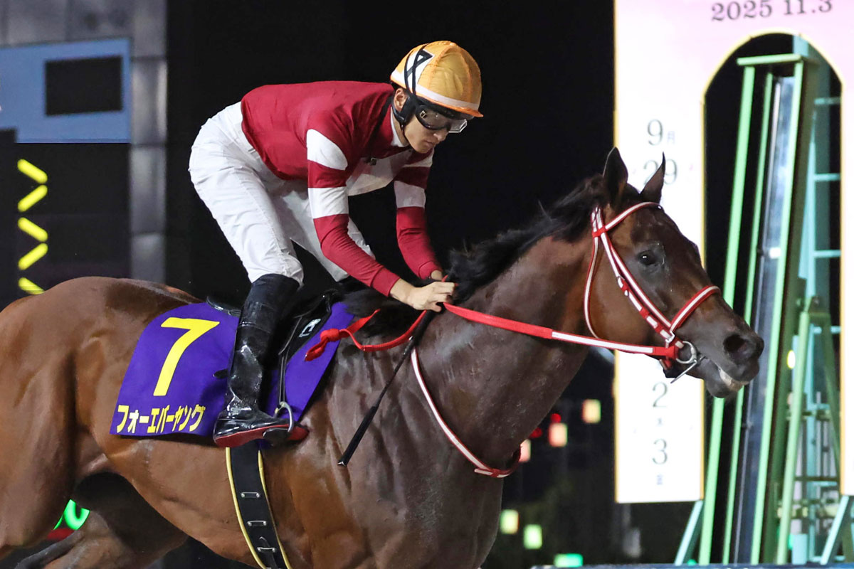 フォーエバーヤング 2025年ブリーダーズカップ 両日セット➕ネック