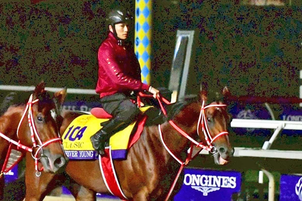 フォーエバーヤング 2025年ブリーダーズカップ 両日セット➕ネック