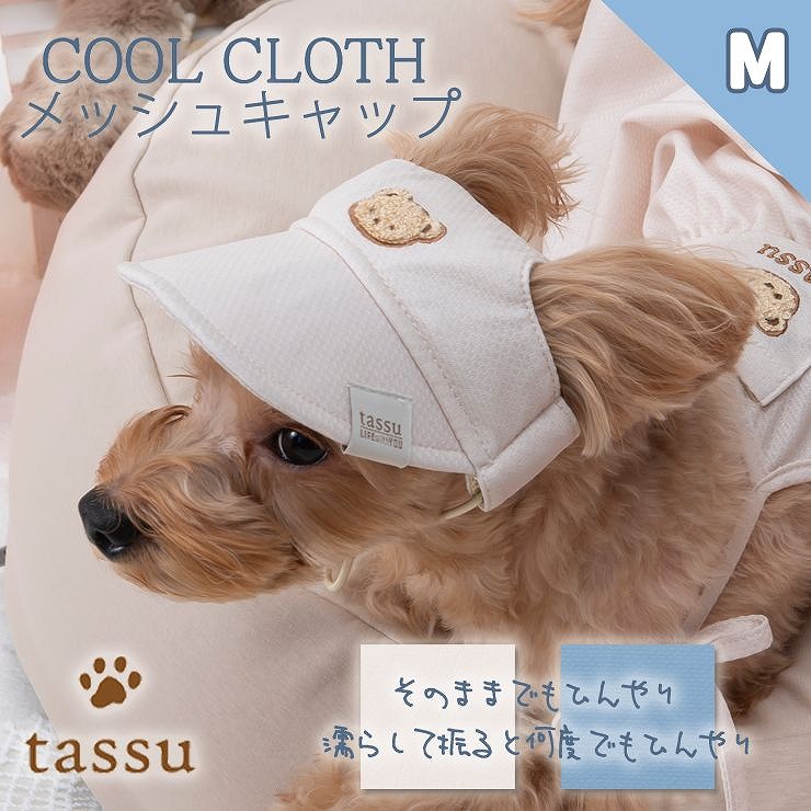 楽天市場】ペット用キャップ Mサイズ 濡らして ひんやり 冷たい COOL