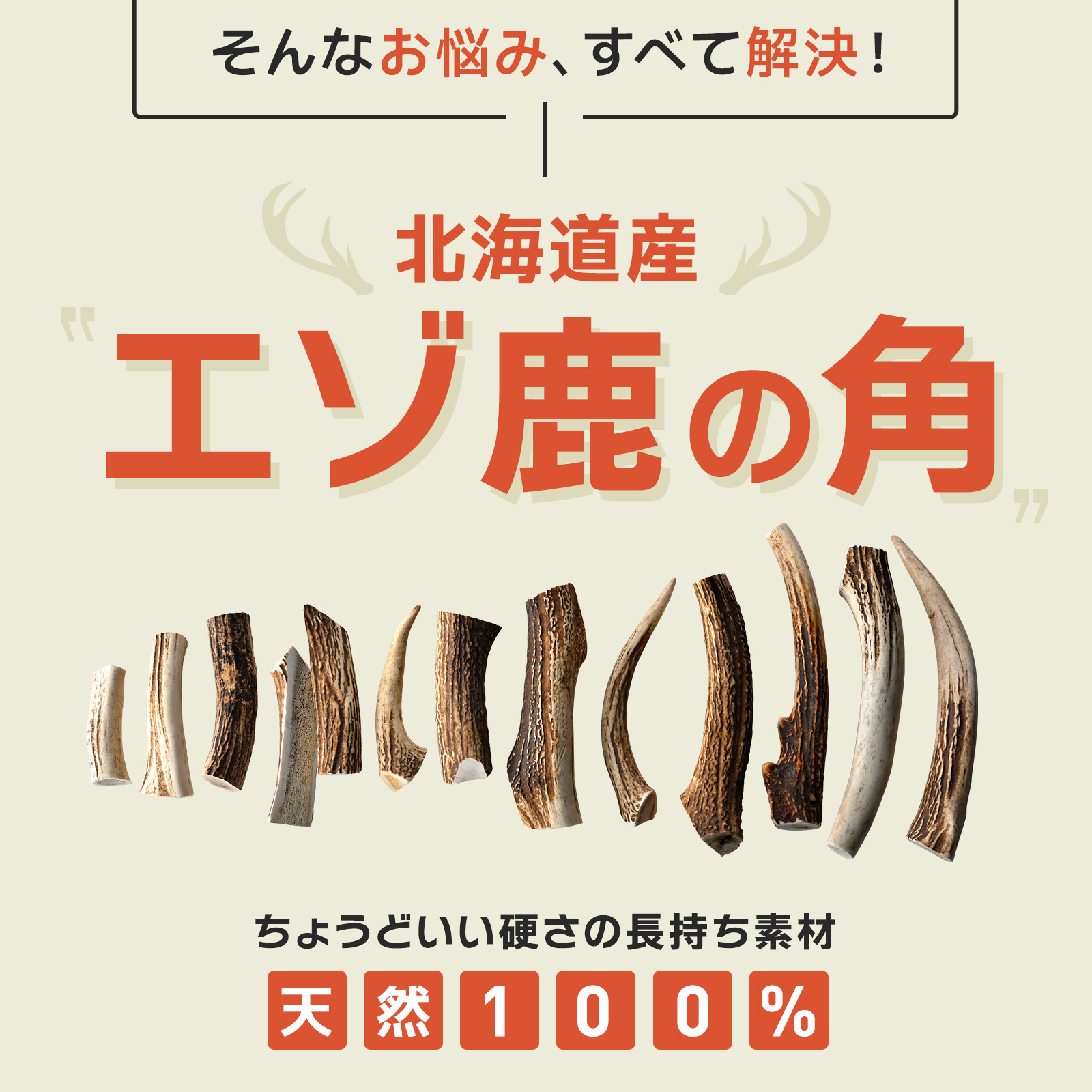 楽天市場】安心のオゾン処理加工◇犬のおもちゃ鹿の角 蝦夷鹿◇北海道