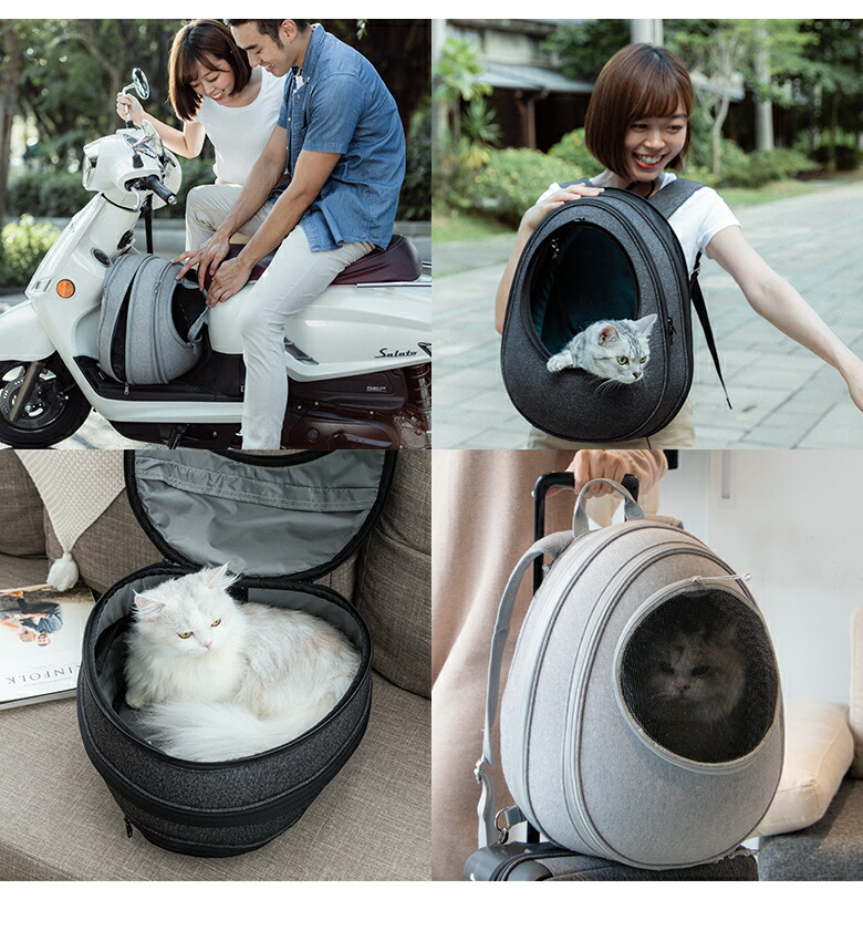 楽天市場】EGGY 猫ハウス型リュックキャリーで日本の四季を愉しむ！愛