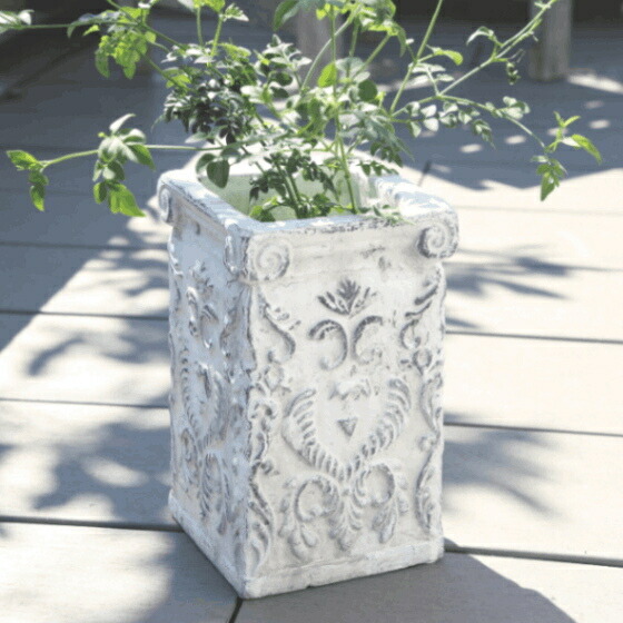 楽天市場】植木鉢 四角 アンティーク クラナススクエアS＜ 12cm 4号