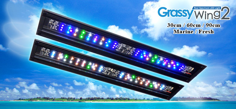 グラッシー ウィング2 60」の人気商品一覧 | 安い商品を通販サイトから