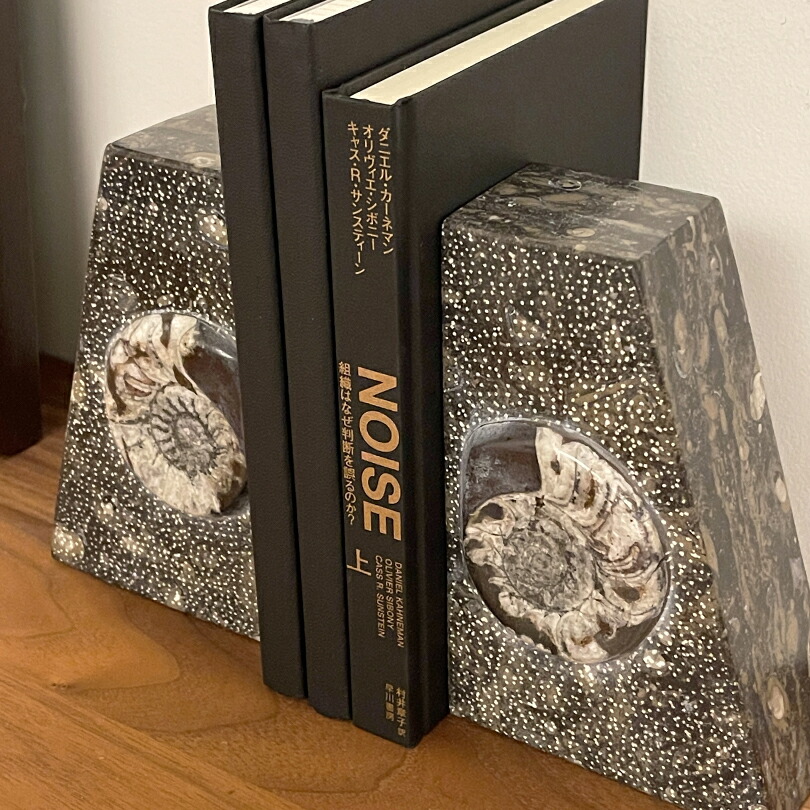 日本産 化石入り大理石(の切れ端)25個セット 日本産 化石入り大理石(の