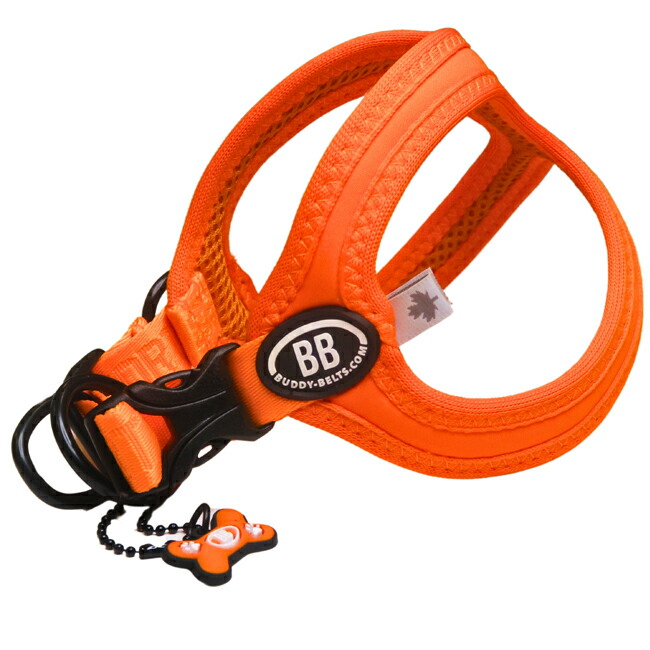 楽天市場】バディーベルト BBスポーツハーネス 2.5号 小型犬 ペット