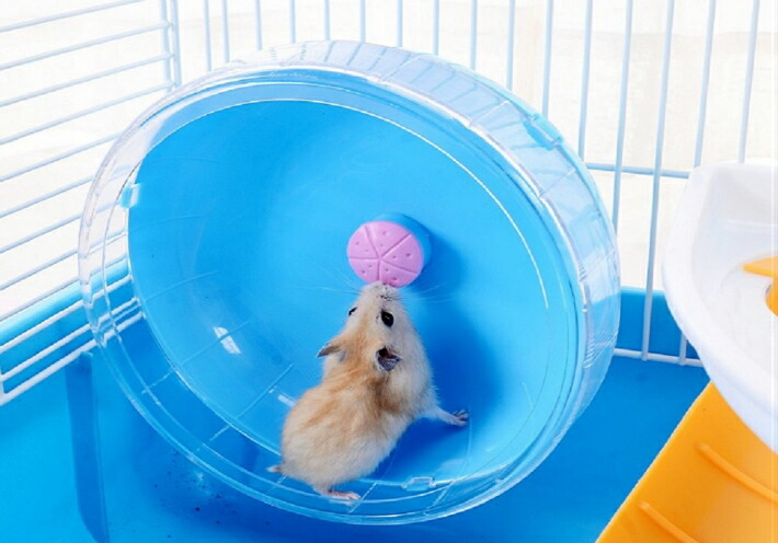 とっとこハム太郎 ハムハムスターターキット スタンダード ハムスター