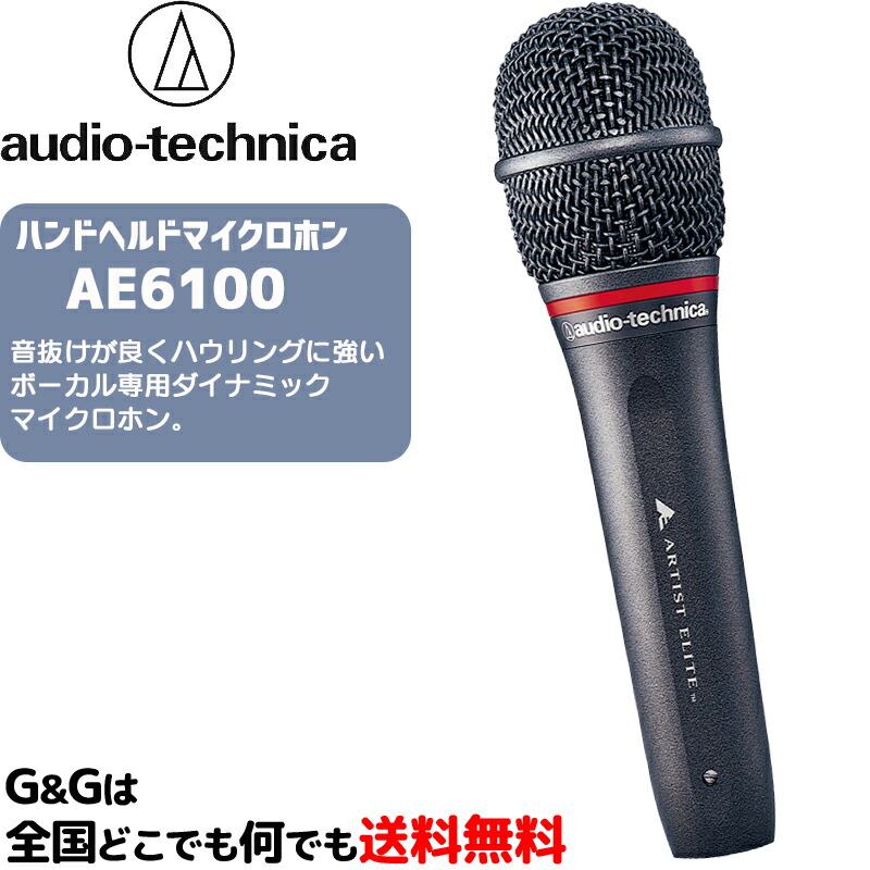 audio-technica AE6100 ダイナミックマイク 専用ケース付き AE6100