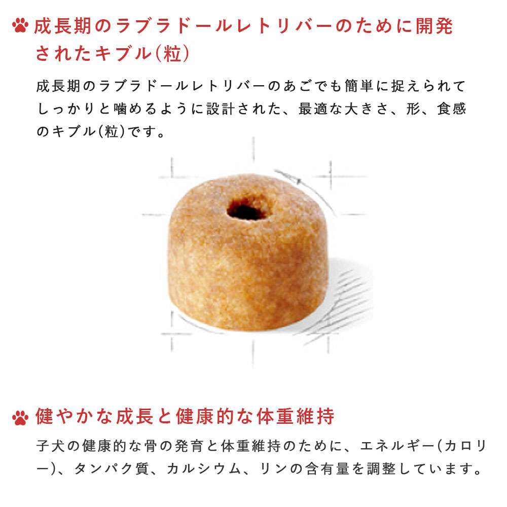 楽天市場】【賞味期限2026/8/22】ロイヤルカナン ラブラドール