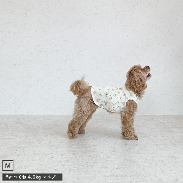 ○犬服○ハンドメイド 胴53 NO.476 ○犬服○ハンドメイド 胴53 NO.476