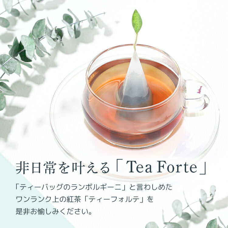 楽天市場】ティーフォルテ TEA FORTE ティーテイスティング ダブル 20