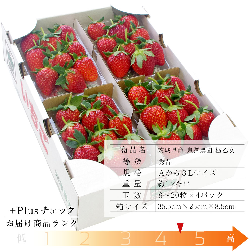 楽天市場】茨城県産 鬼澤農園 ステビア栽培 栃乙女 Aから3Lサイズ 300g