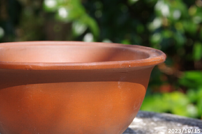 中国美術 朱泥 植木鉢 蘭鉢 園芸(BB451) 中国美術 朱泥 植木鉢 蘭鉢