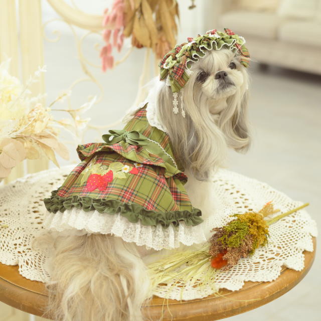 楽天市場】ドッグウェア 犬服 ワンピース 秋冬【きゃんナナ】レトロ