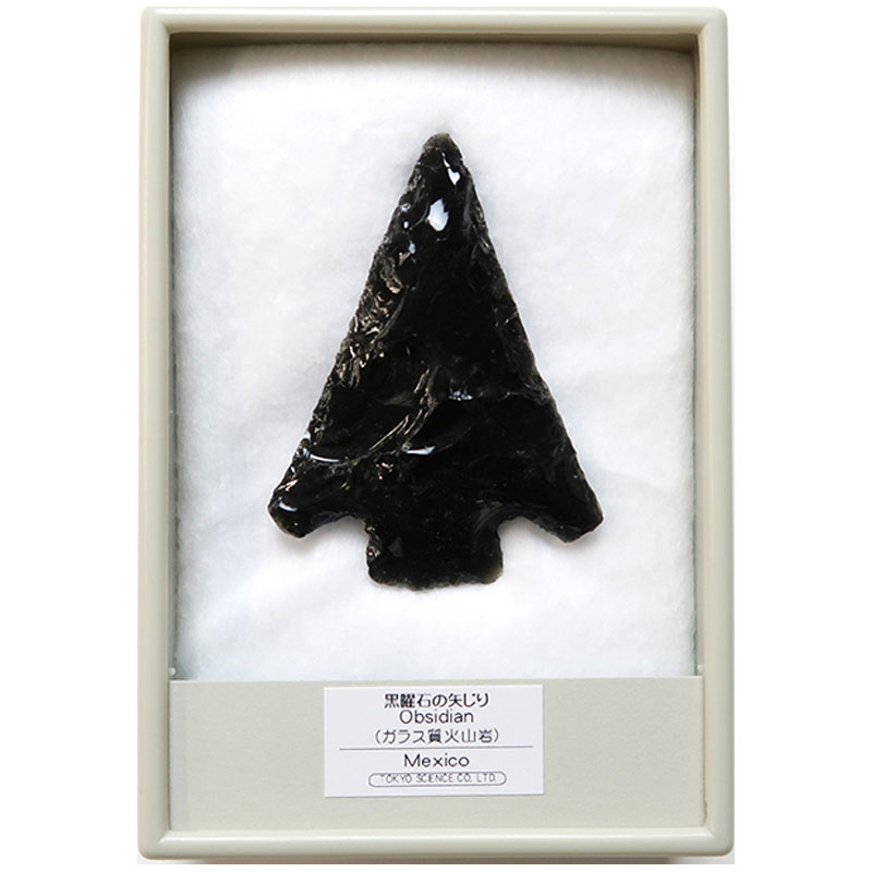 石器時代 黒曜石 矢尻 3点 時代箱付 N 9169 石器時代 黒曜石 矢尻 3点