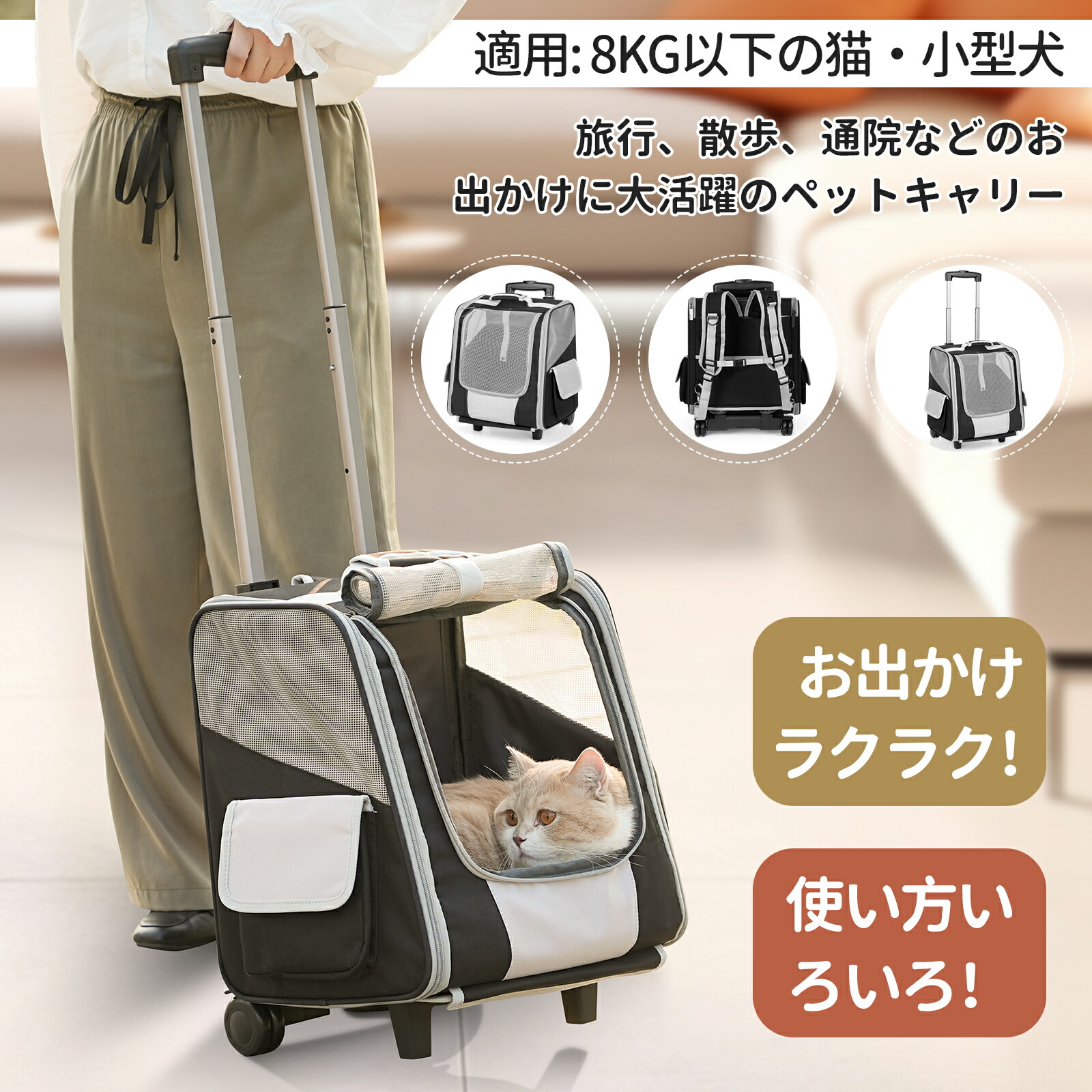 楽天市場】【レビュー特典あり】XiaZ ペットキャリー リュック 猫 中型