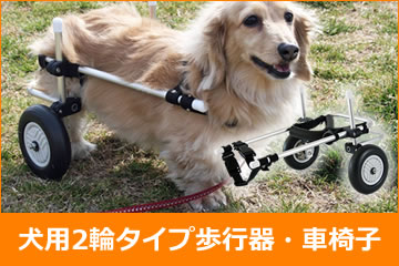 犬用歩行器（犬用車椅子）・犬用車椅子の製造販売はわんワークへ