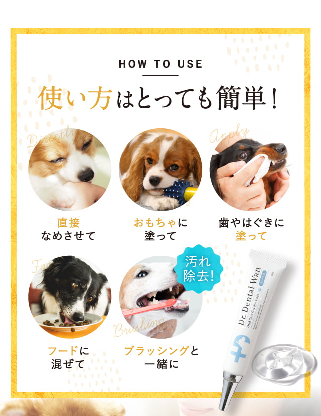 ドクターデンタルワン Dr. Dental Wan 4本セット 4つ 新品ドクター