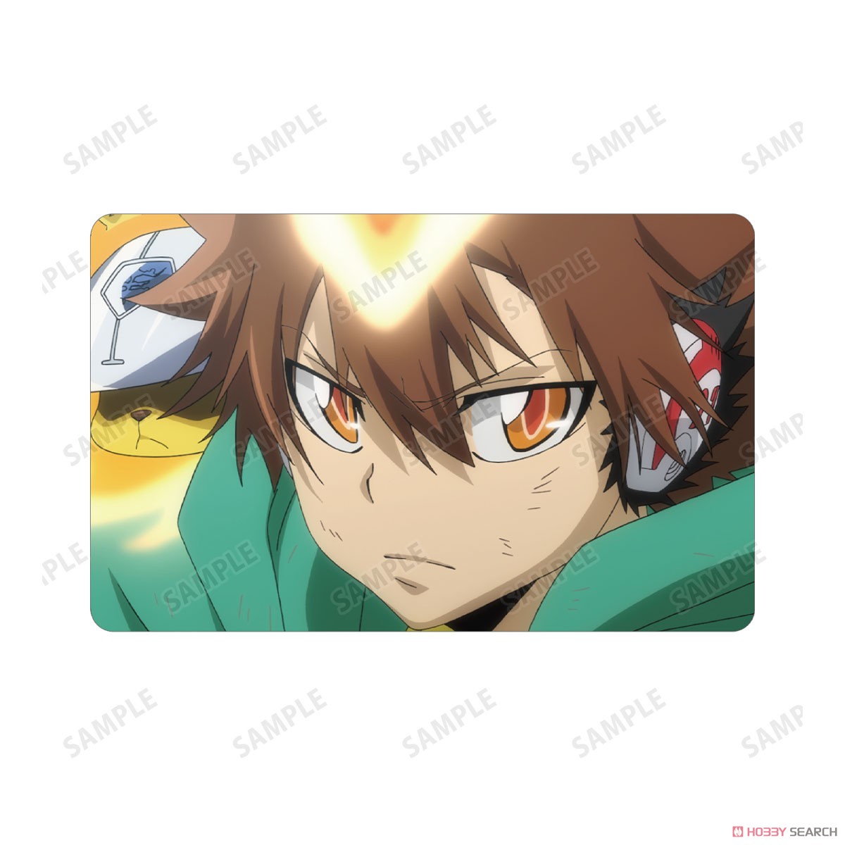 家庭教師REBORN 沢田綱吉 リボアニ ポストカード ホワイトデー 家庭