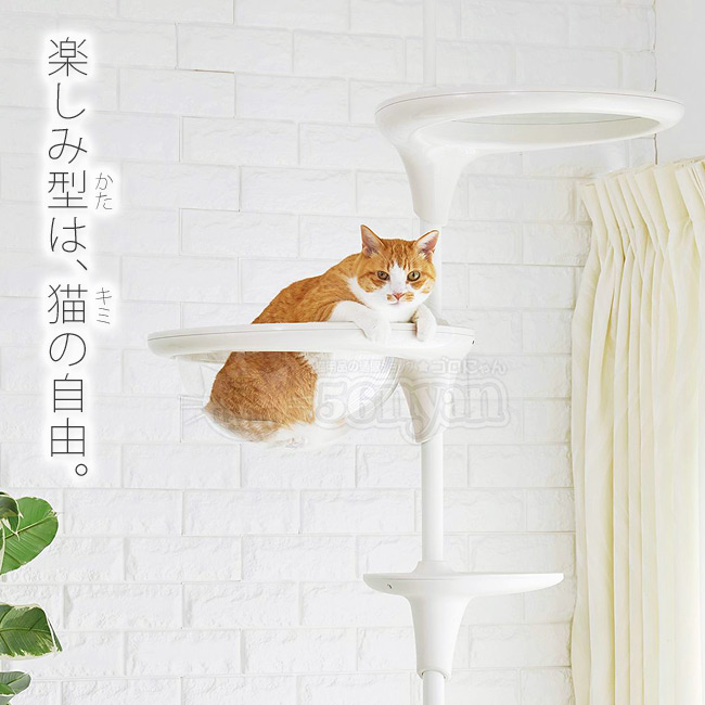 猫翼 CAT WING 猫翼 CAT WING 猫翼 CAT WING 楽天市場】cat wings