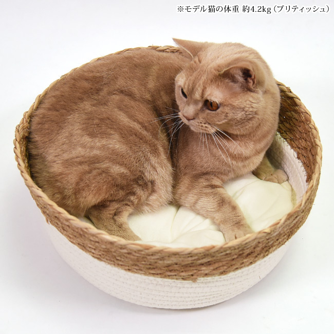 蒲草ロープ クッション付バスケット (95920) 2WAY 夏用 ペットベッド