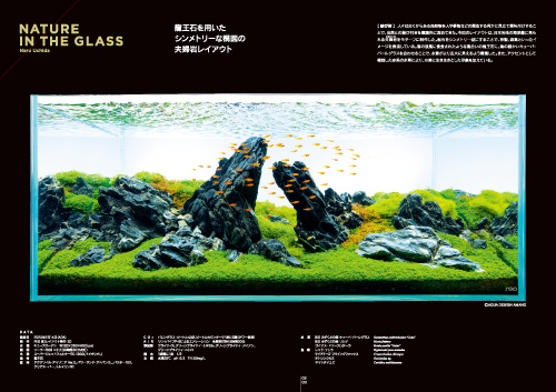 収集家垂涎】AQUA JOURNAL アクアジャーナル 創刊号〜34号 収集家垂涎