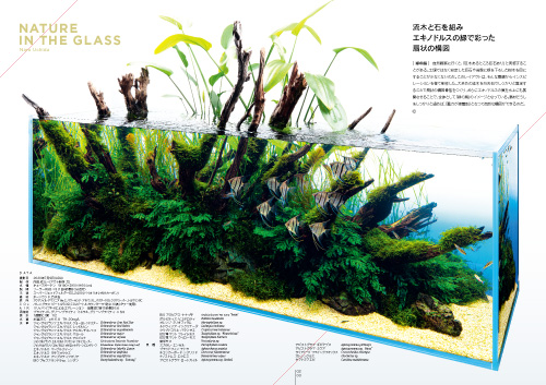 ADA アクアジャーナル 80冊セット まとめ売り 2025年最新】ada アクア